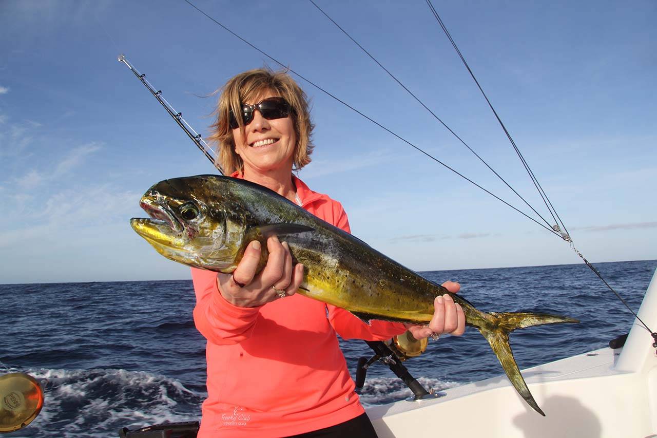 Can You Catch Dorado in Cabo in August