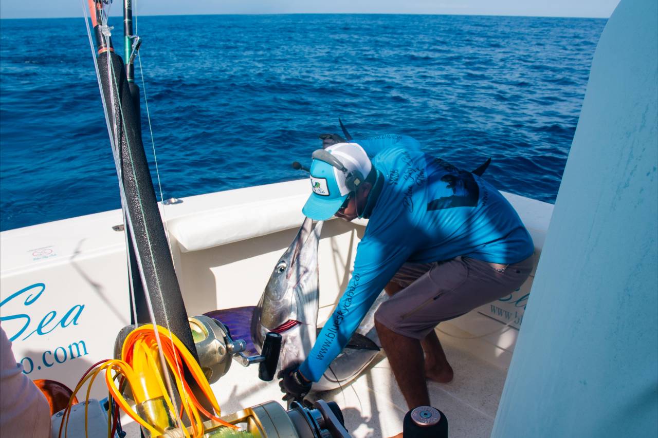 How Far Offshore Do You Go Fishing in Cabo in August