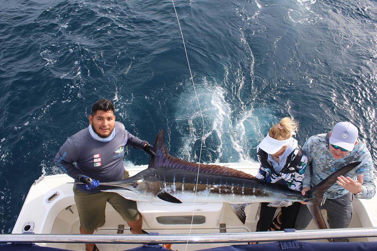 How Much Is a Fishing Charter in Cabo