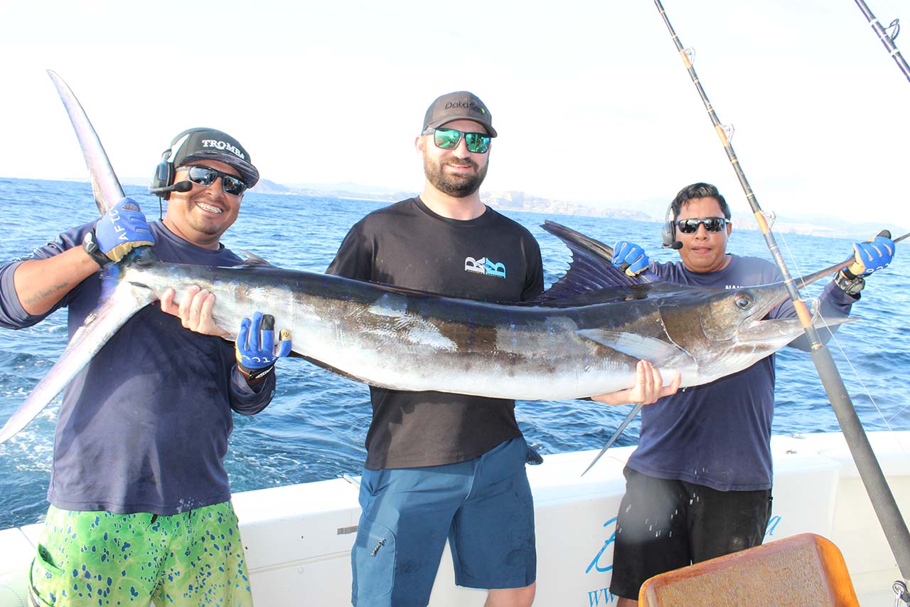 Is August Better for Tuna or Marlin Fishing in Cabo