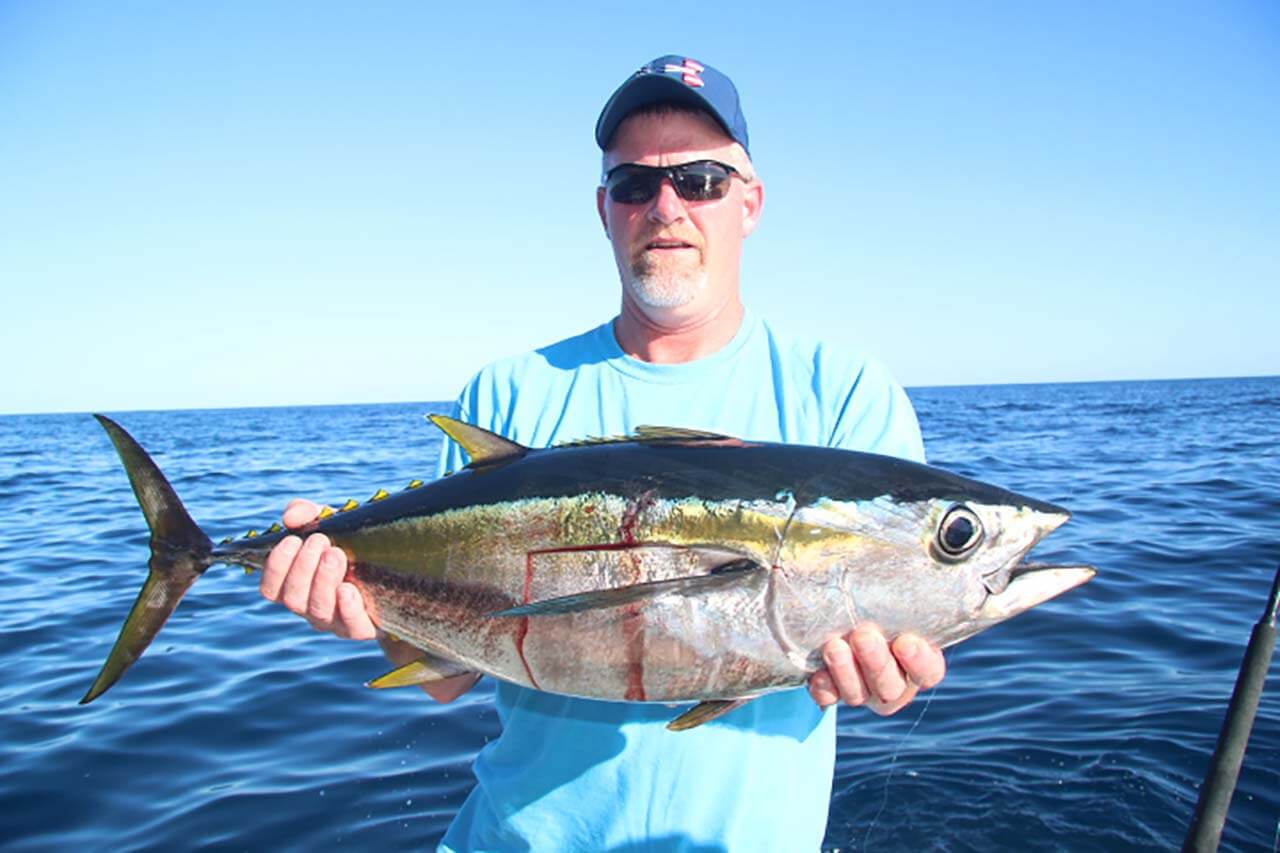 Los Cabos Fishing TripAdvisor