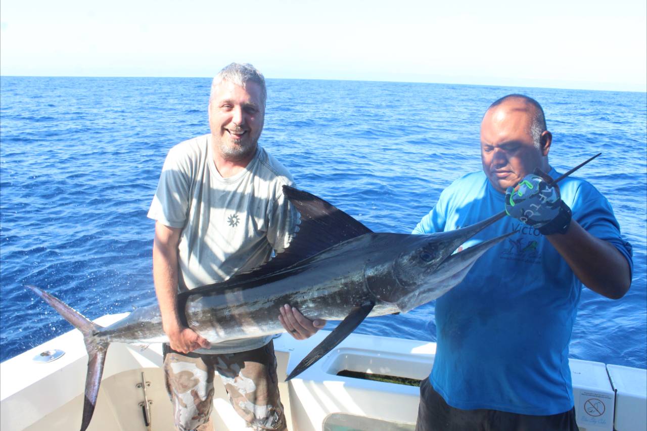 What Are the Chances of Catching a Marlin in Cabo in August