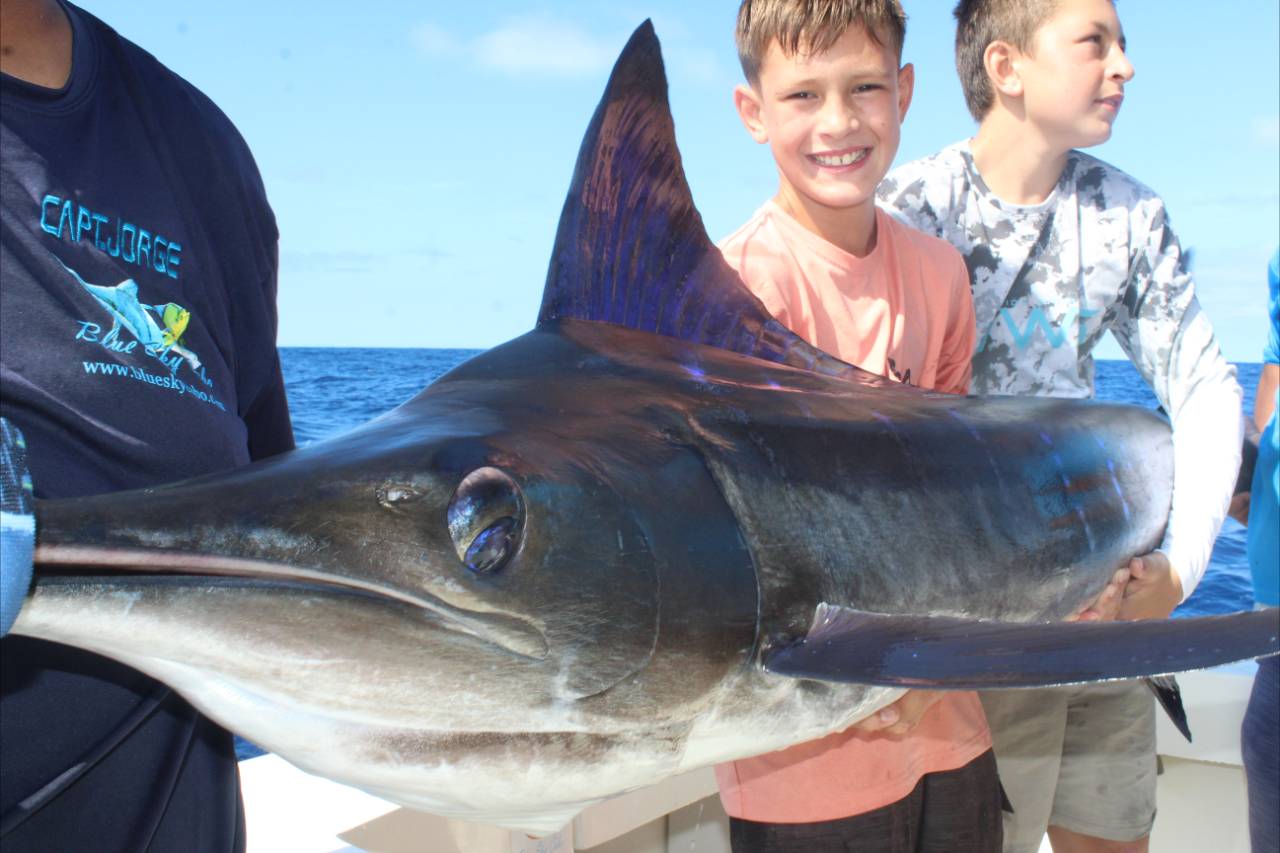 August Big Game Fishing Cabo