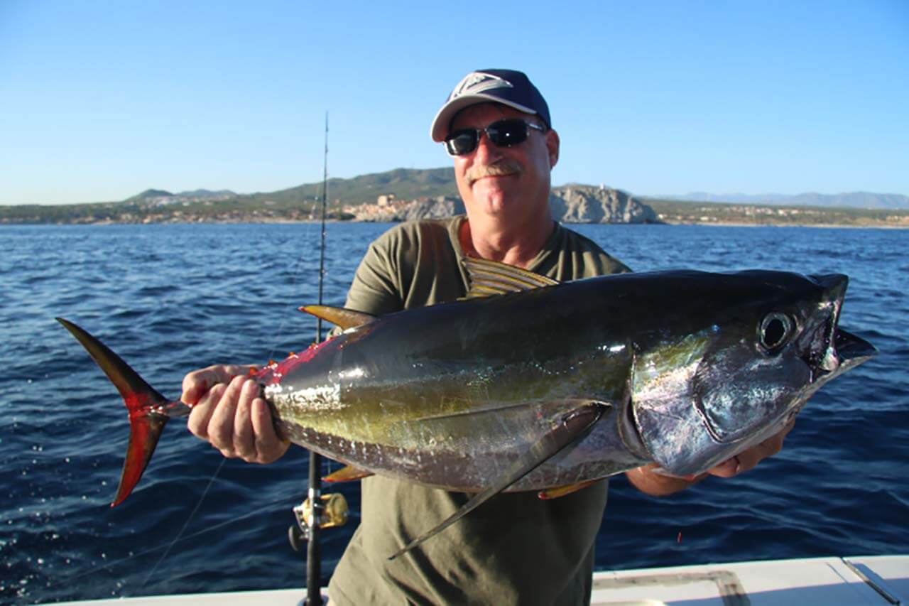 August Fishing Cabo San Lucas