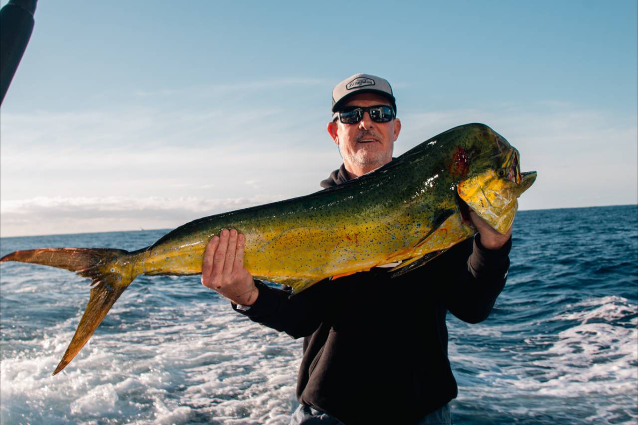 Best Fishing Cabo August