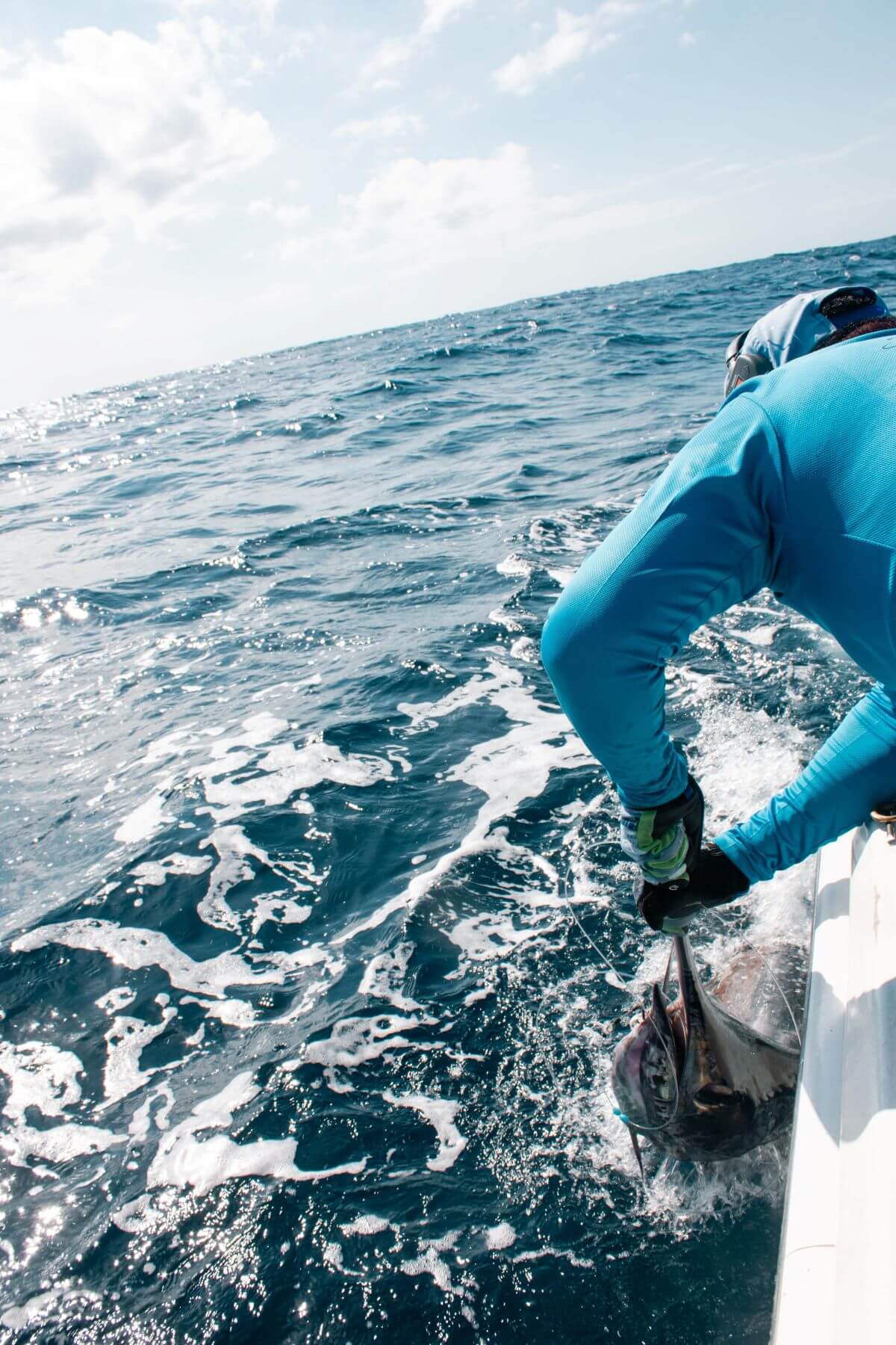 Cabo Deep Sea Fishing August