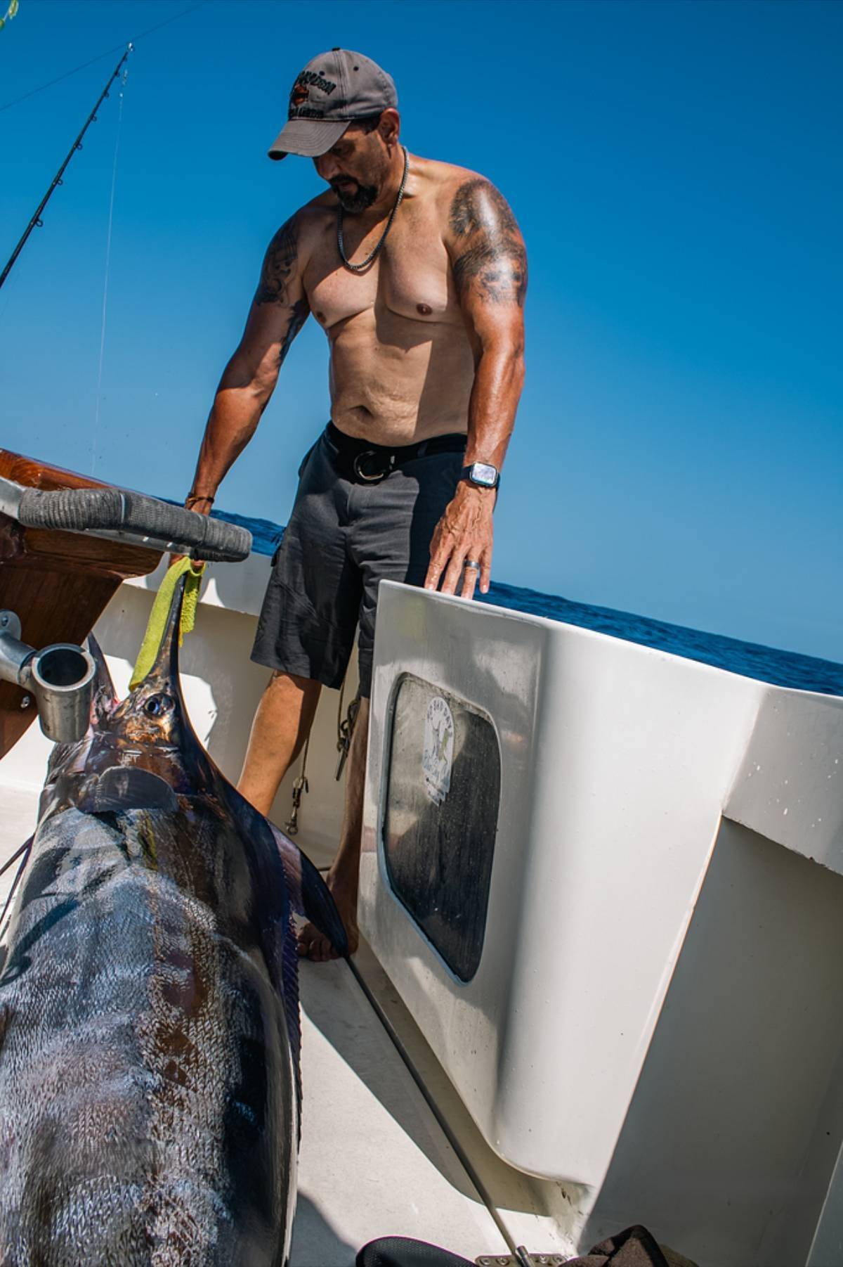 Cabo Deep Sea Fishing August