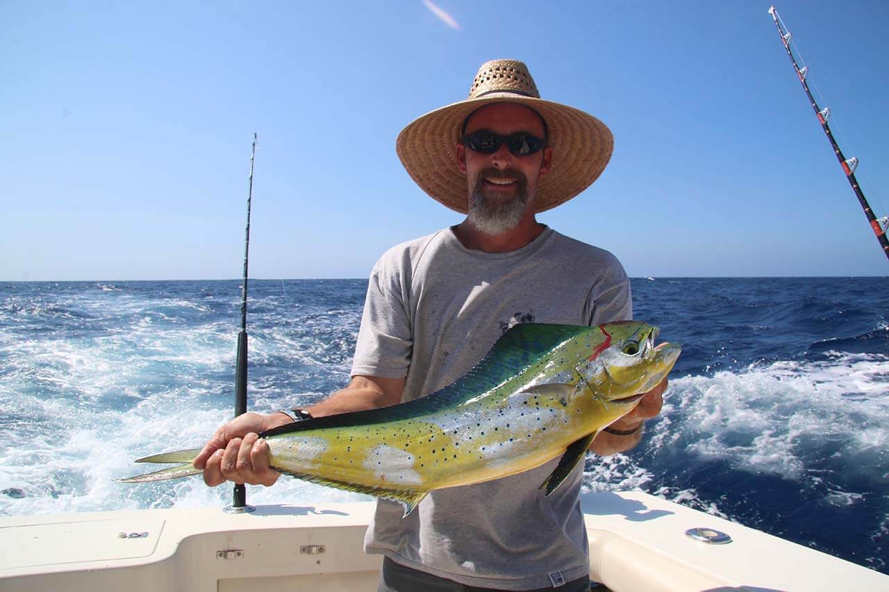 Cabo Dorado Fishing August