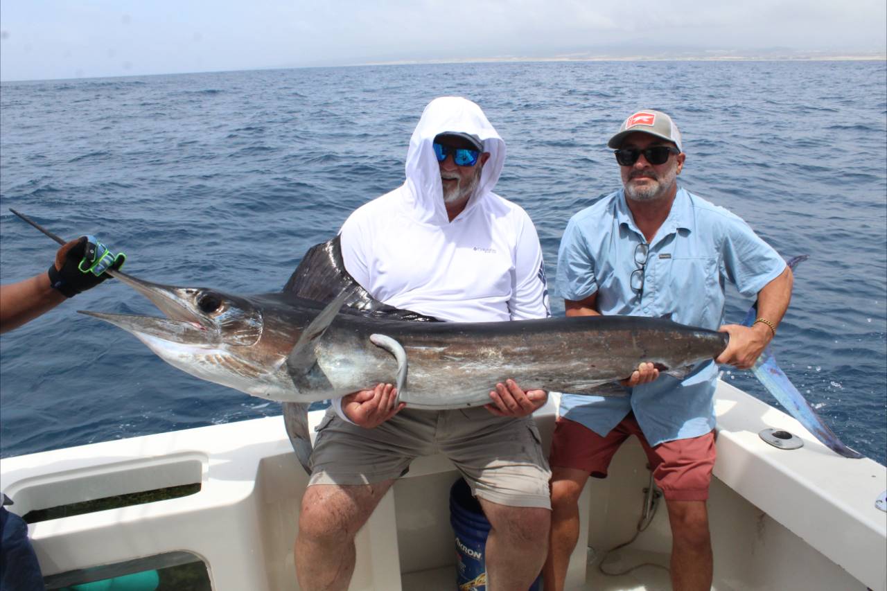 Cabo Fishing Charters August