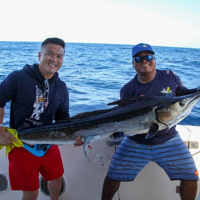 Cabo Fishing Charters September