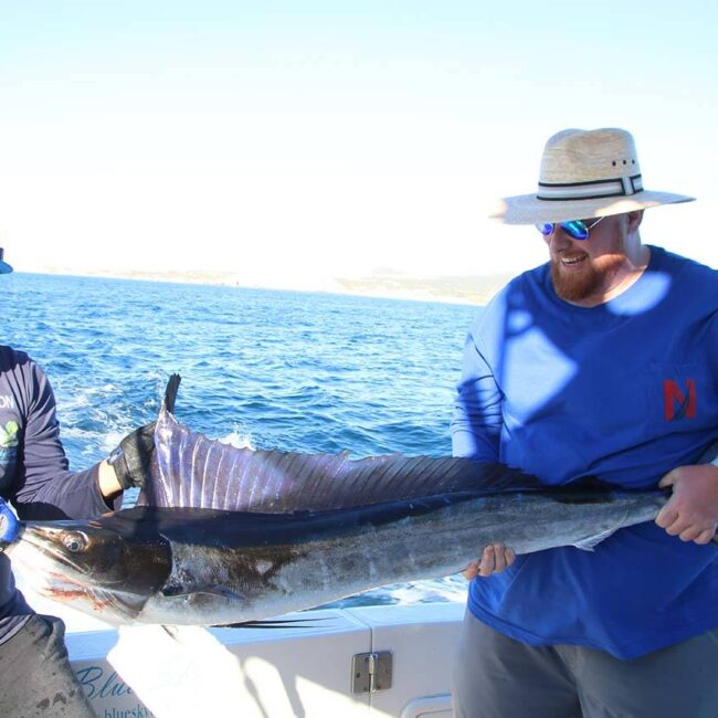 Cabo Fishing September