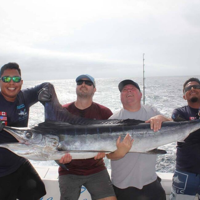 Cabo Full Day Fishing Cost