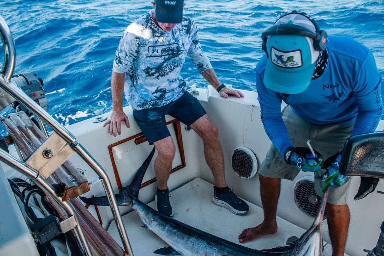 Cabo San Lucas Fishing Reports August 14 2026