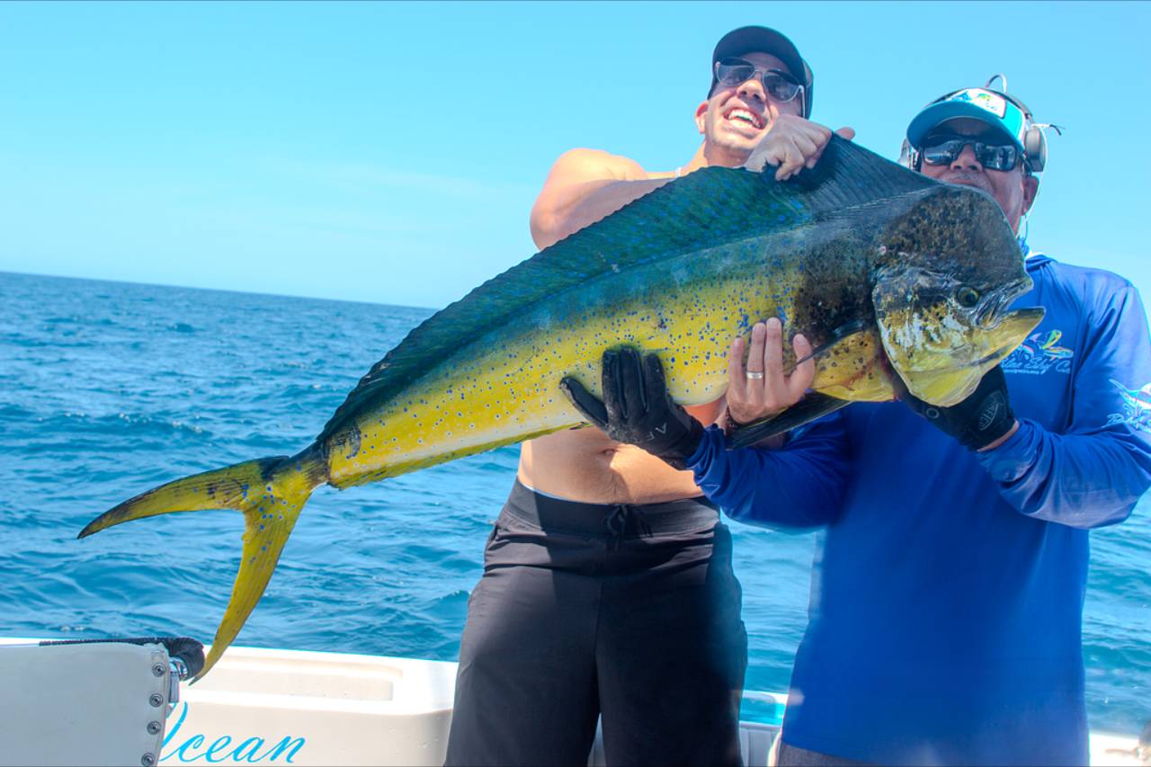 Cabo San Lucas Fishing Reports August 27 2026