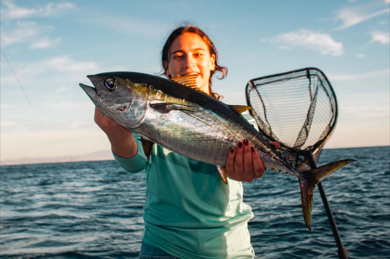Cabo Tuna Fishing August