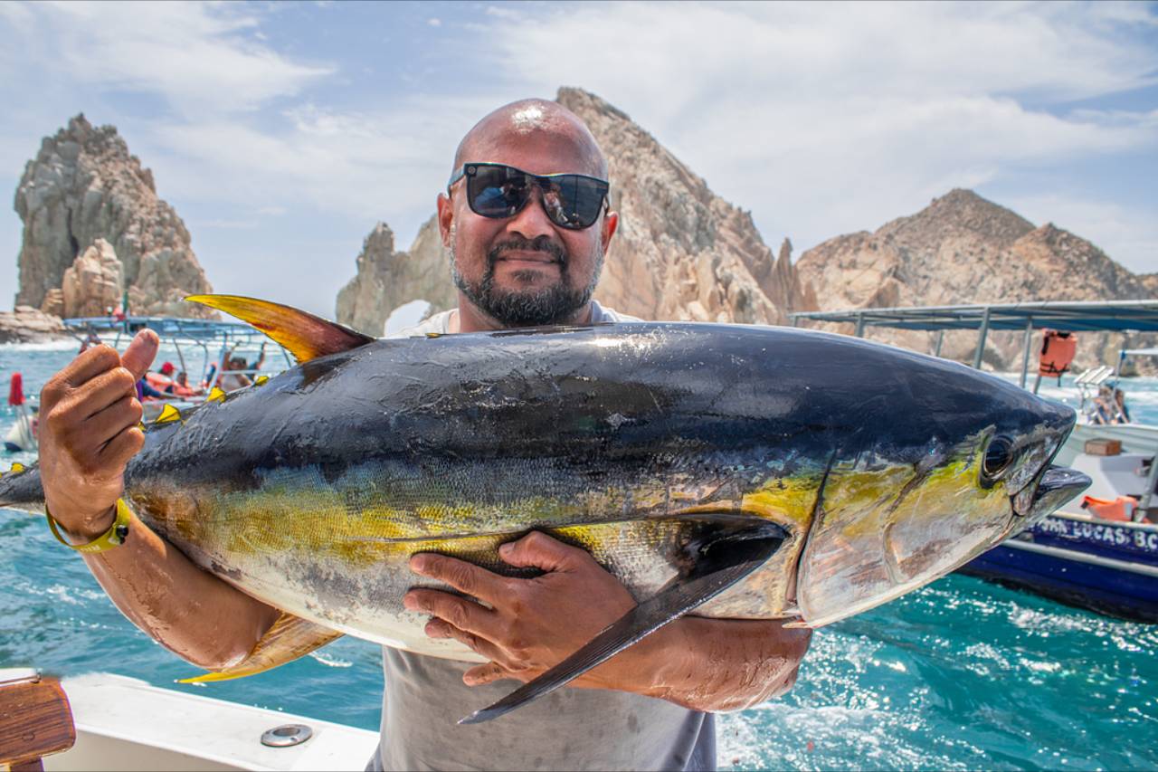 Los Cabos Fishing Reports August 29 2026