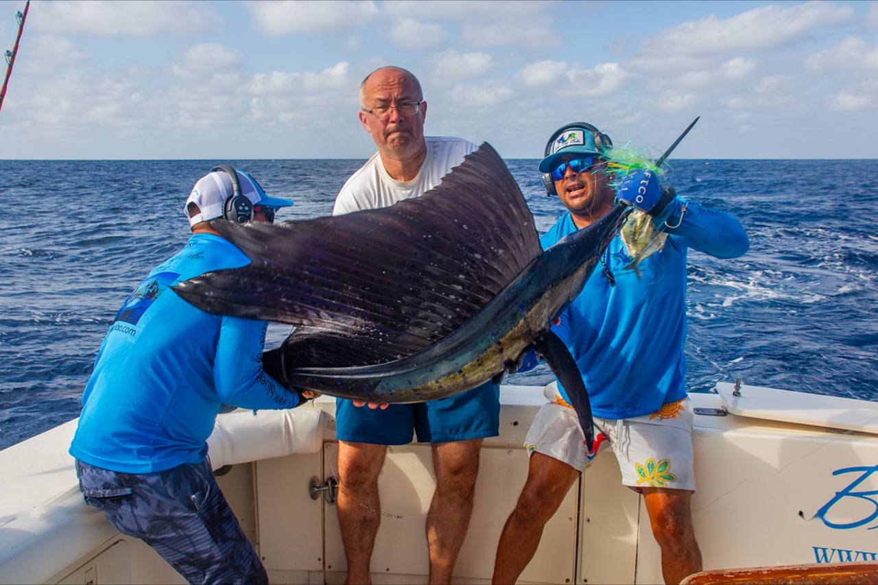 Los Cabos Fishing Reports August 8 2026