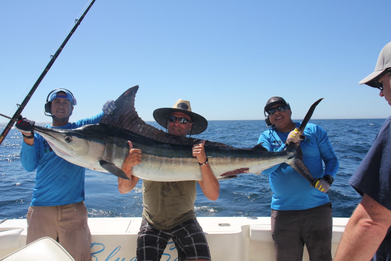 Cabo Fishing Report – September 4 2026