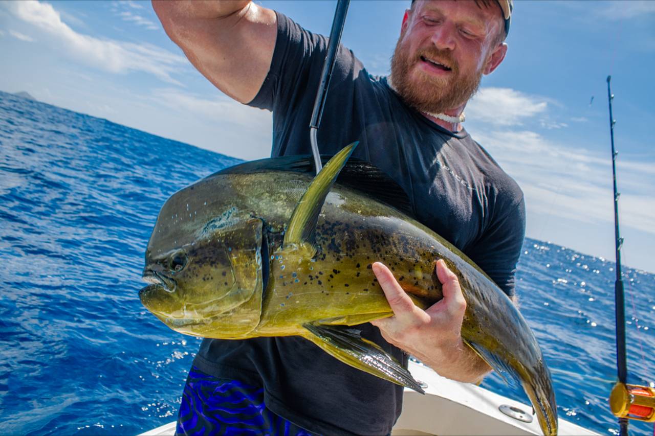 Cabo Fishing Report September 5 2026