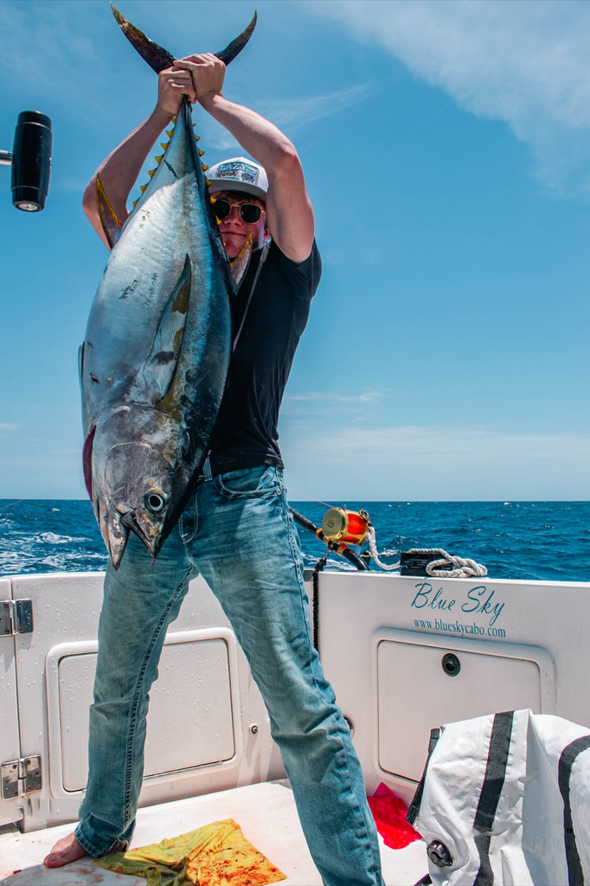 Cabo Fishing Reports August 2 2026