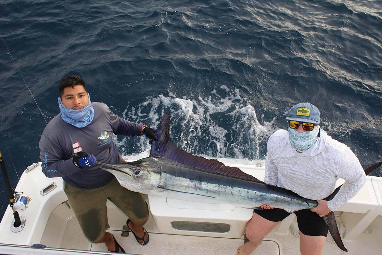 Cabo San Lucas Marlin Fishing September