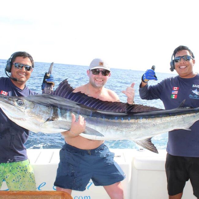 Cabo Offshore Fishing September