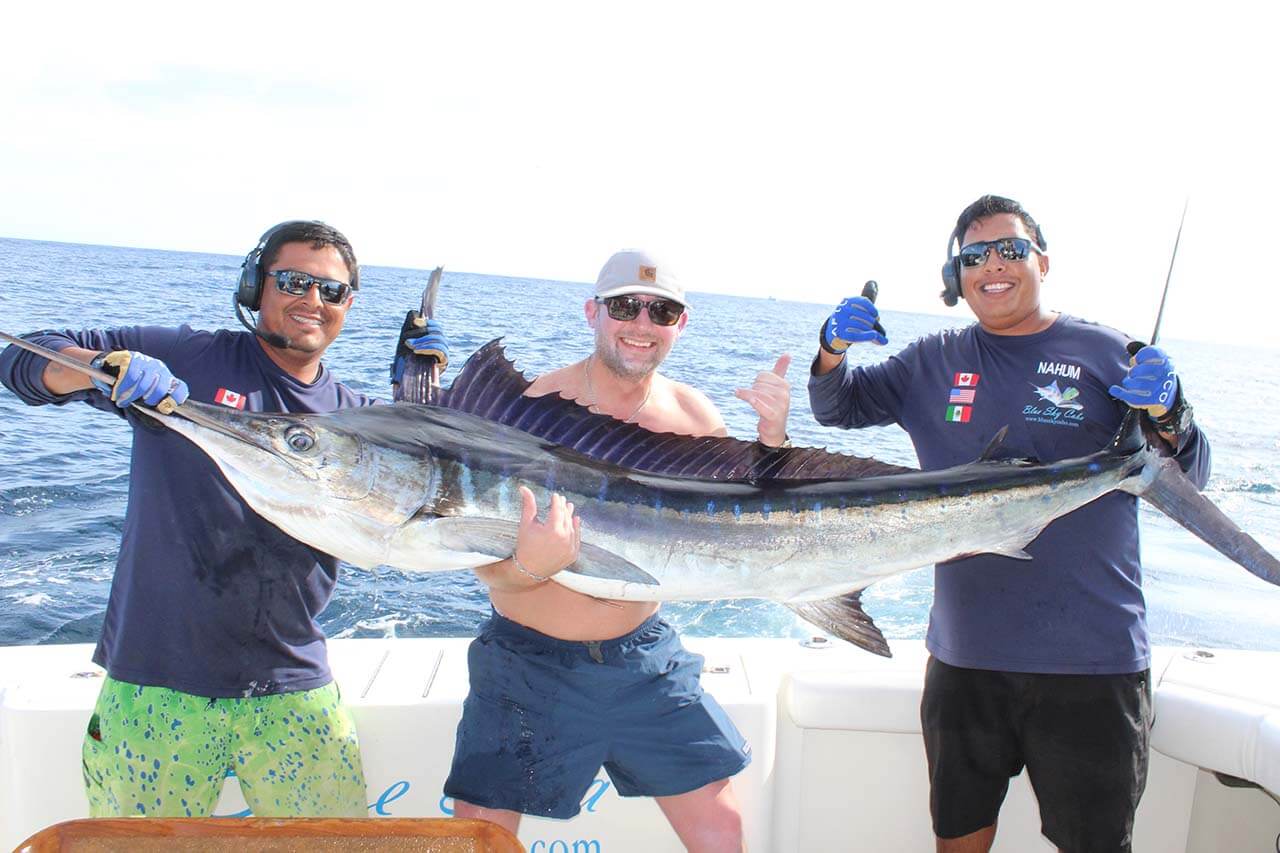 Cabo Offshore Fishing September