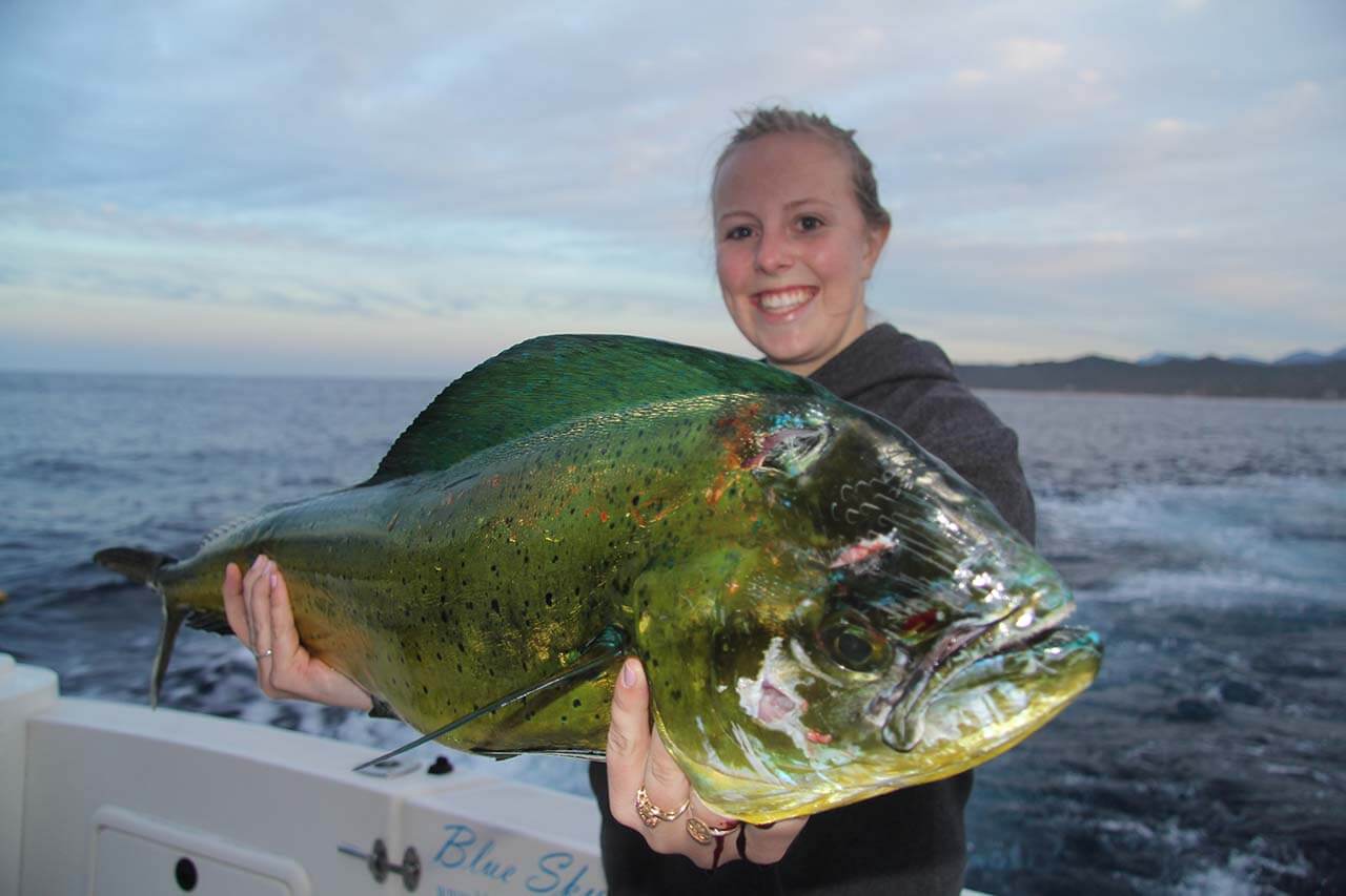 Cabo San Lucas Deep Sea Fishing Charter
