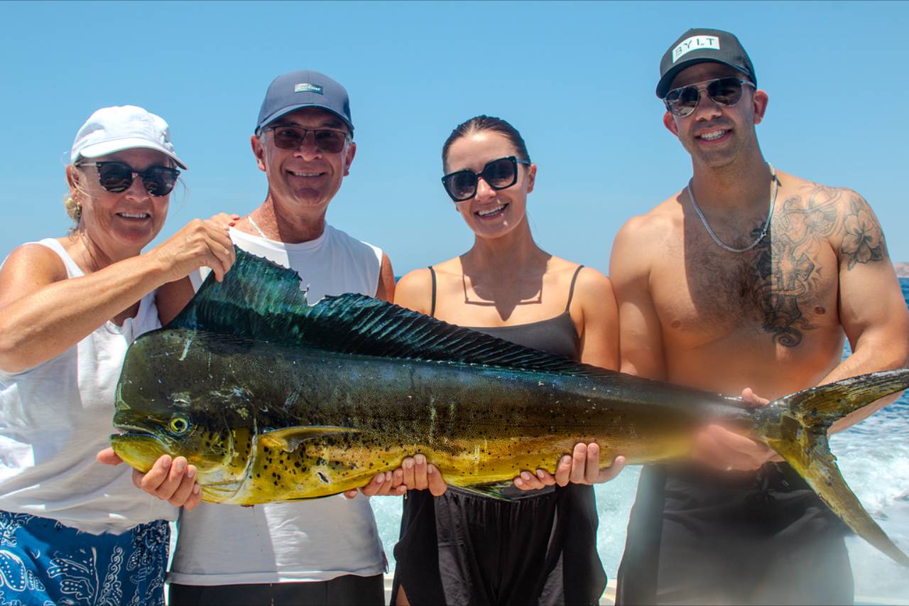 Cabo San Lucas Dorado Fishing