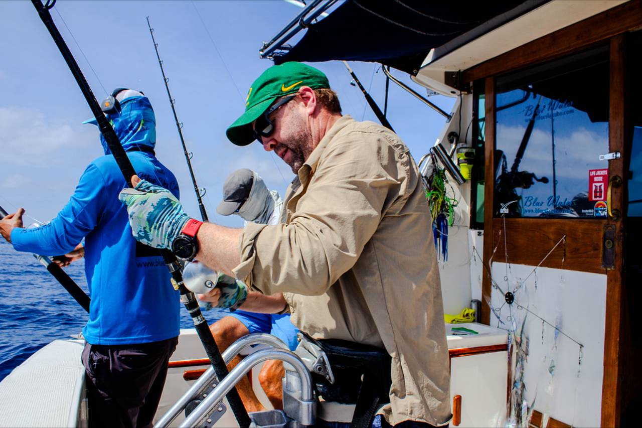 Cabo San Lucas Fishing Report - 5 Marlin Caught - September 19 2026
