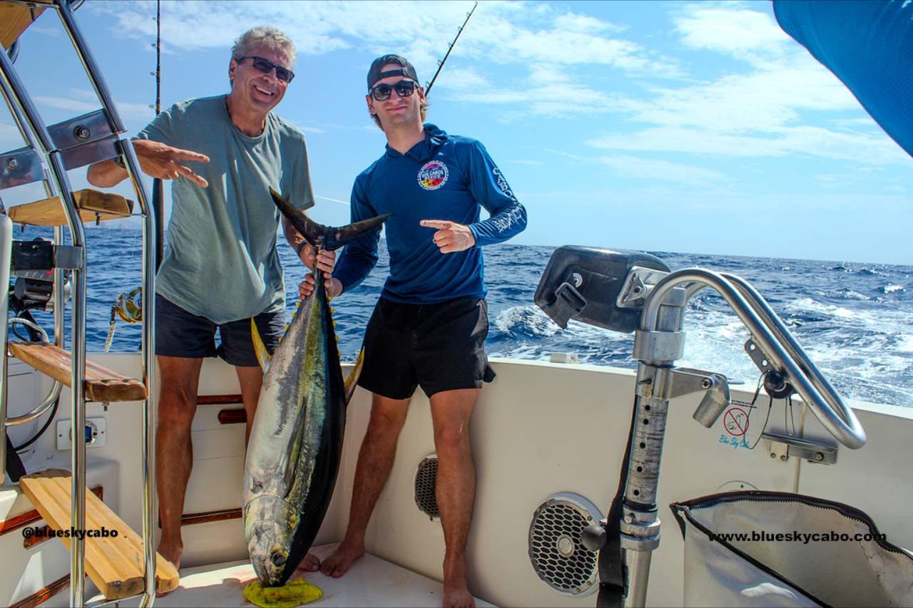 Cabo San Lucas Fishing Reports August 28 2026