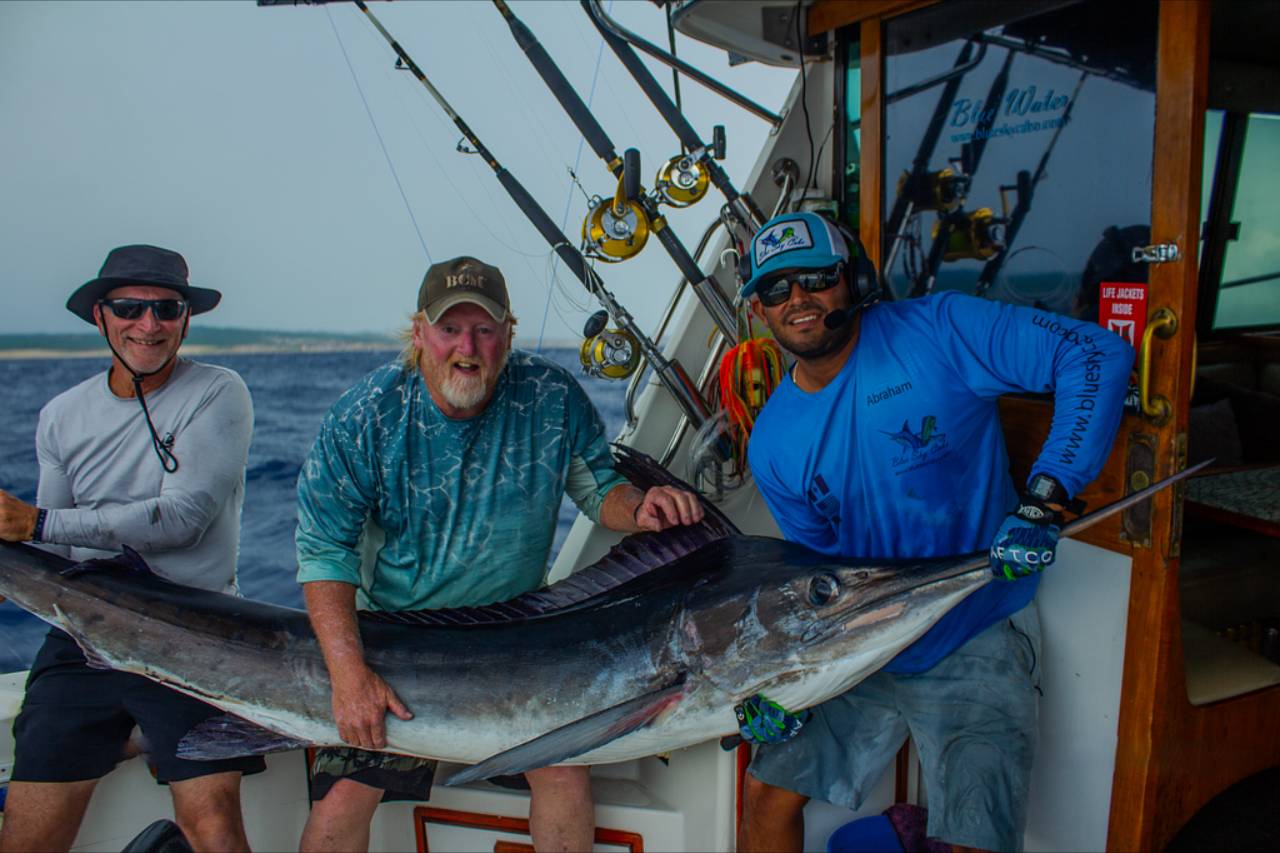 Cabo San Lucas Fishing Reports September 14 2026