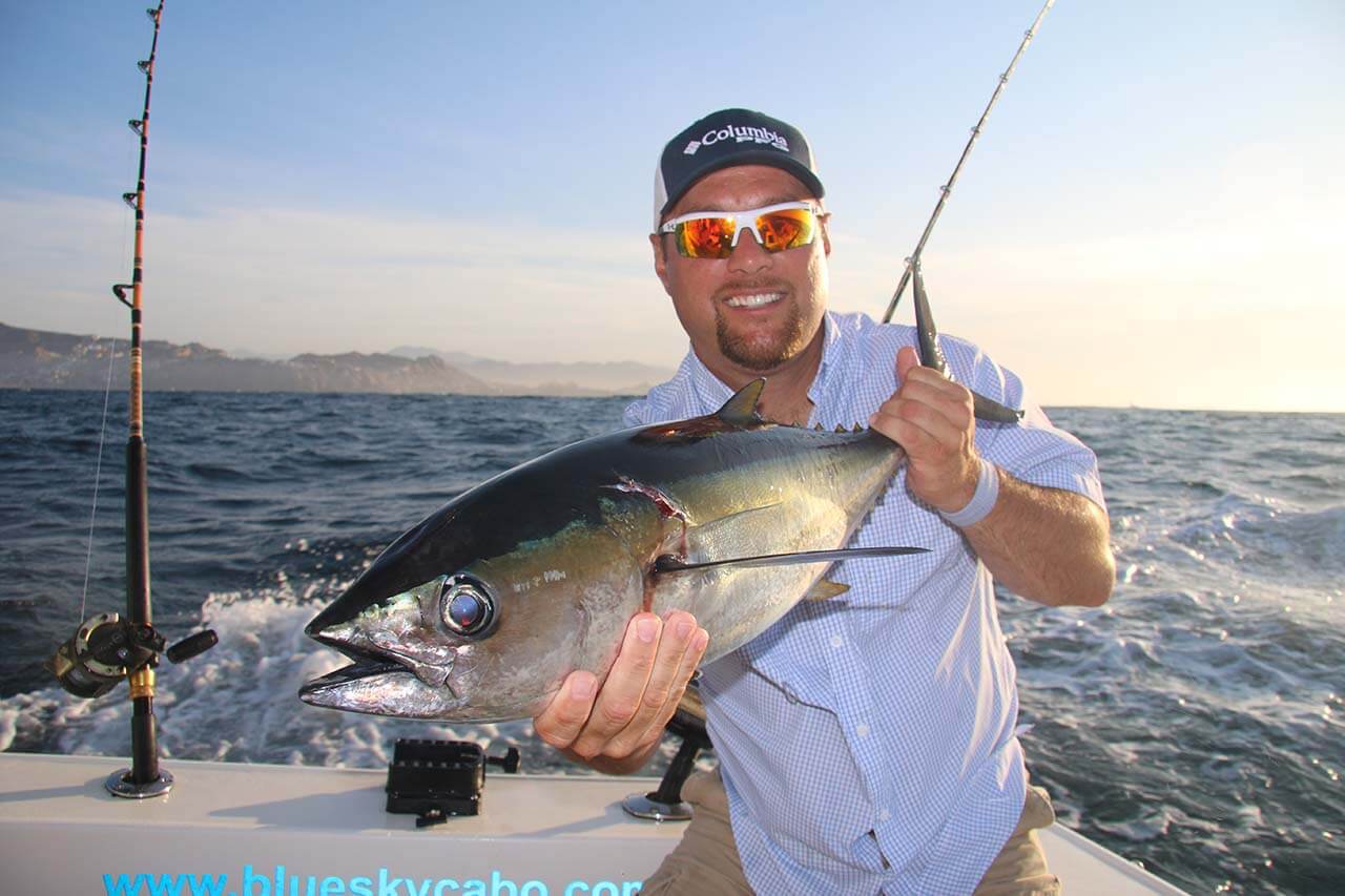 Cabo San Lucas Tuna Fishing