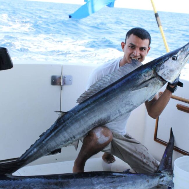 Can You Catch Wahoo in Cabo in September