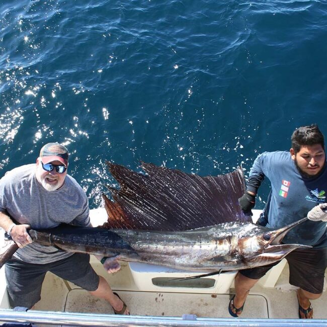 How Far Offshore Do Cabo Fishing Charters Go in September