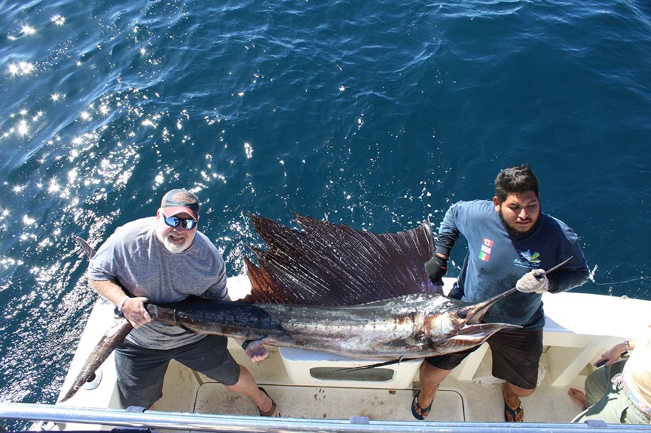How Far Offshore Do Cabo Fishing Charters Go in September