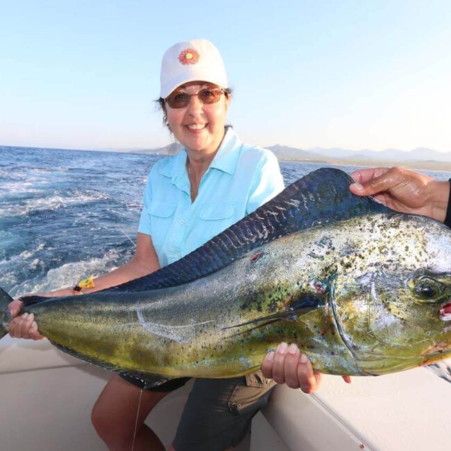 Is September Good for Dorado Fishing in Cabo