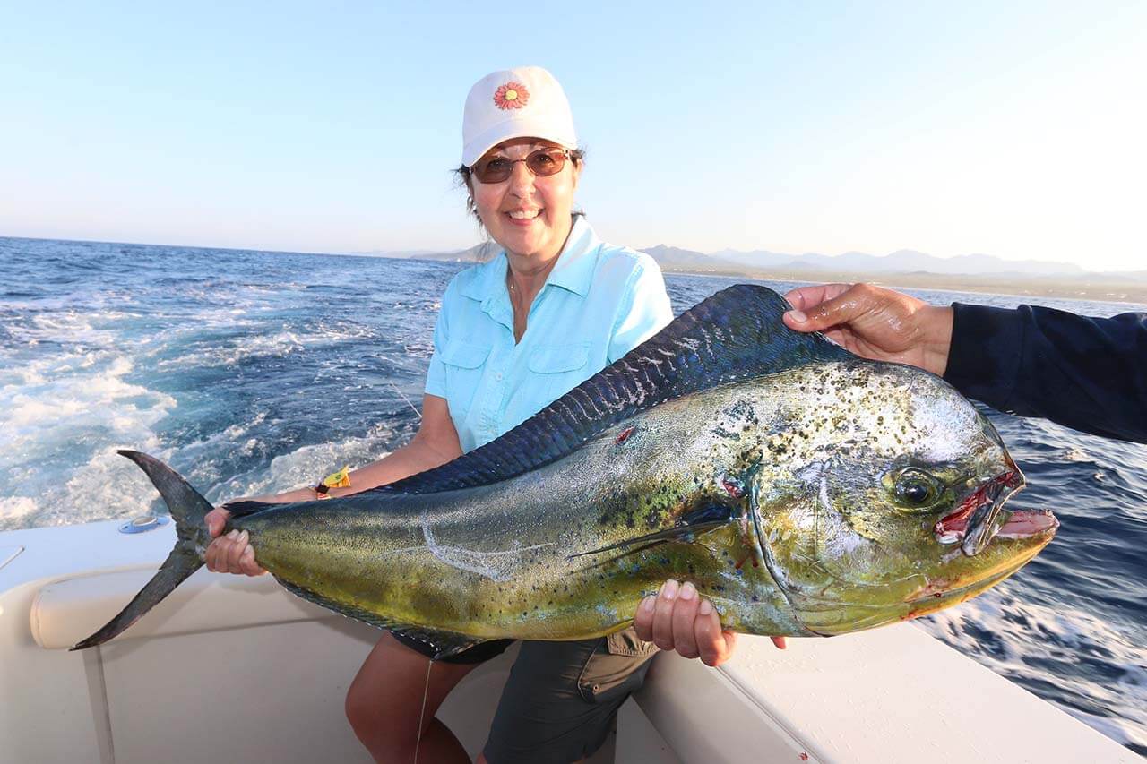 Is September Good for Dorado Fishing in Cabo