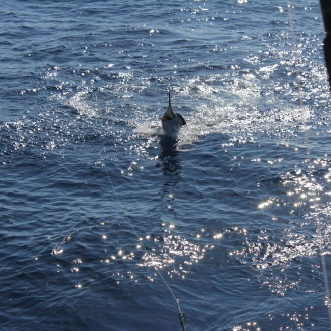 Is the Ocean Rough in Cabo in September