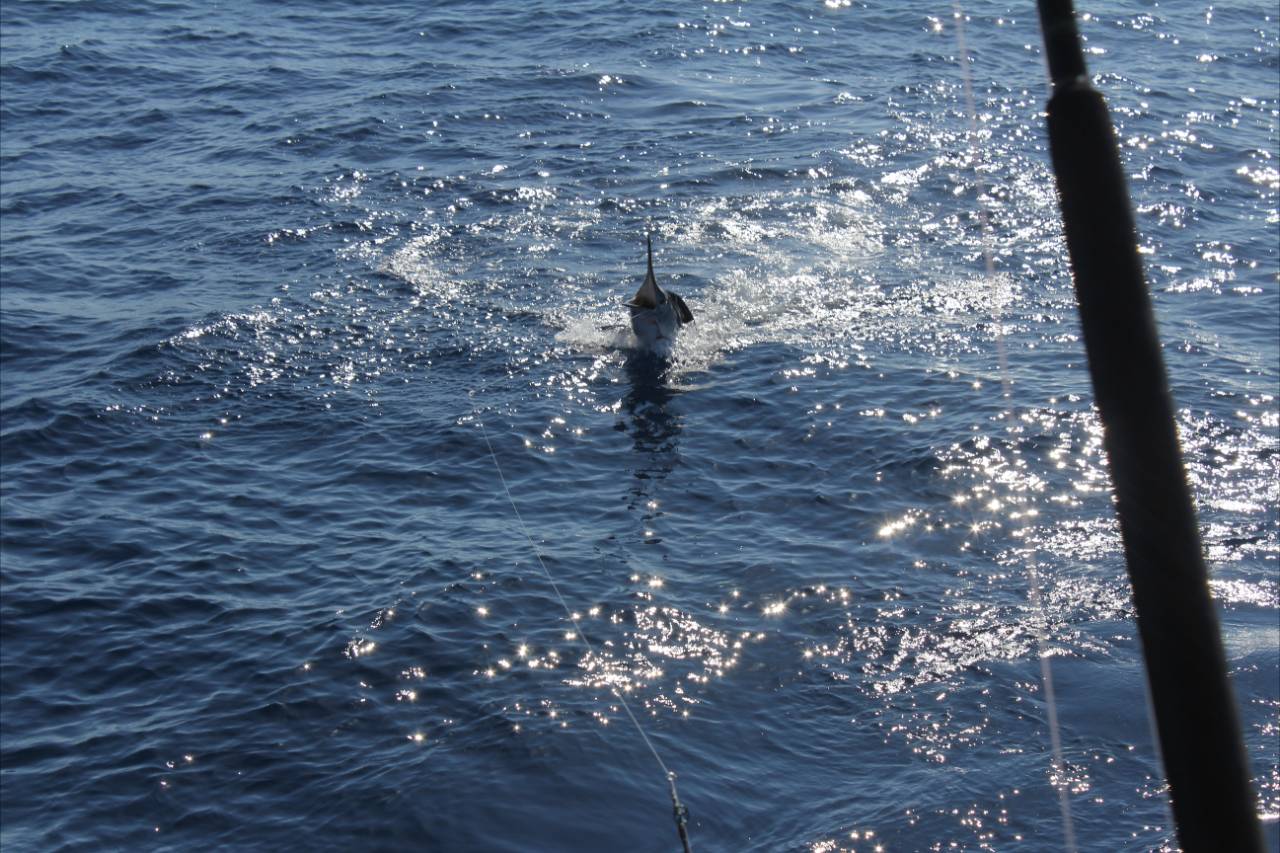 Is the Ocean Rough in Cabo in September