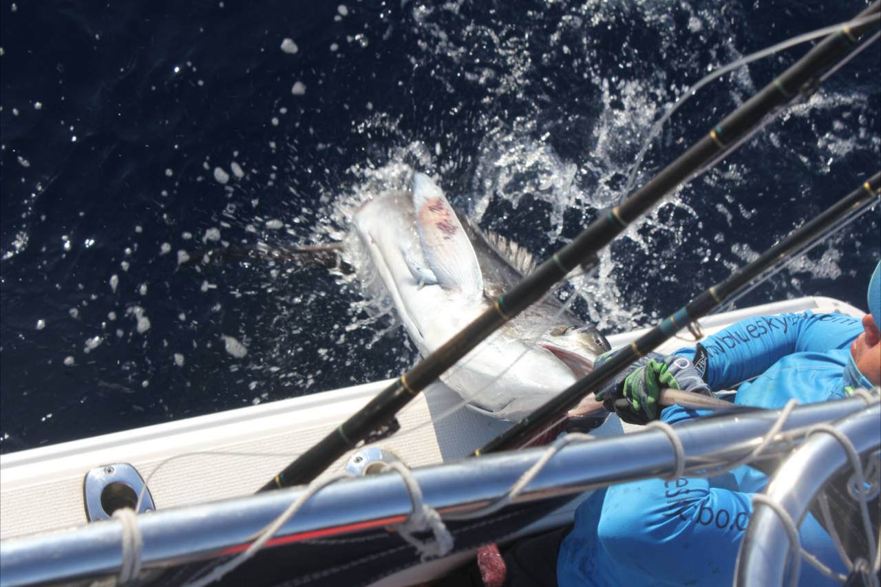 Luxury Fishing Charter Cabo