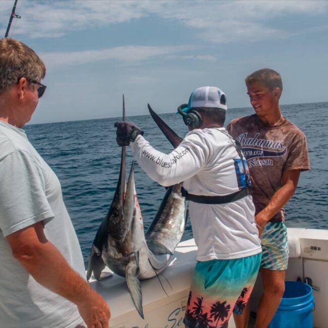Should I Book a Morning or Afternoon Fishing Charter in Cabo in September