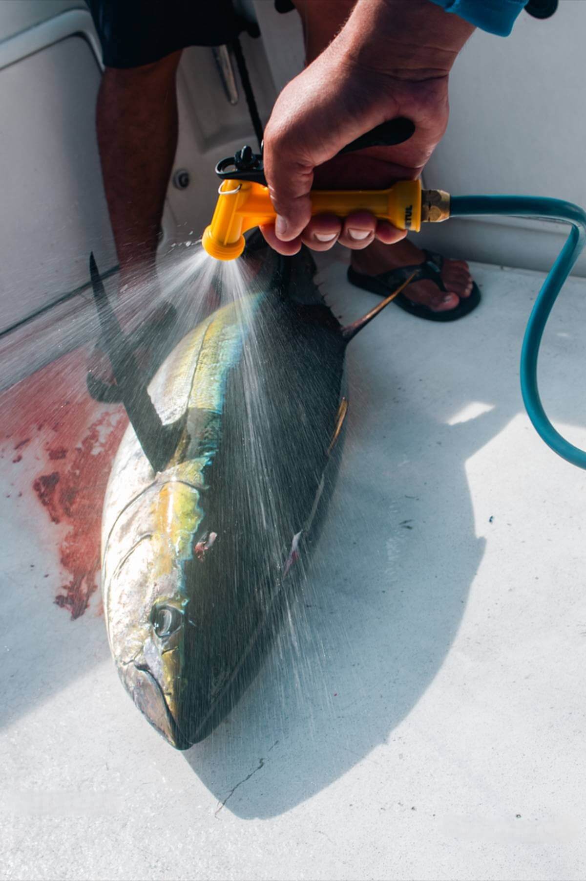 What Should I Bring for a Cabo Fishing Trip in September