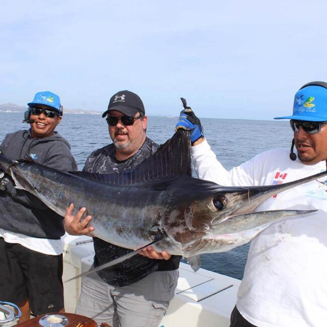 Are Luxury Cabo Fishing Boats Available During October