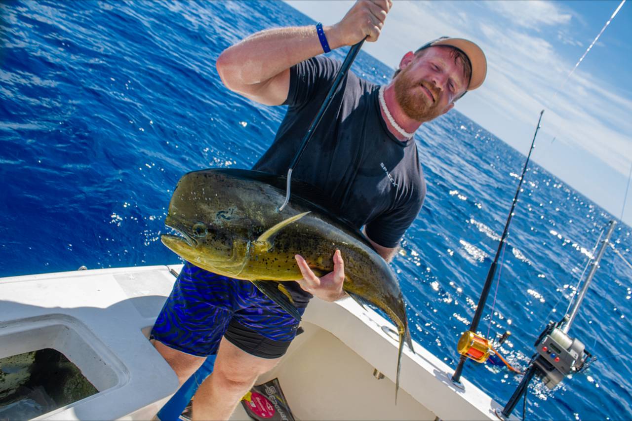 Cabo Fishing Report September 5 2026