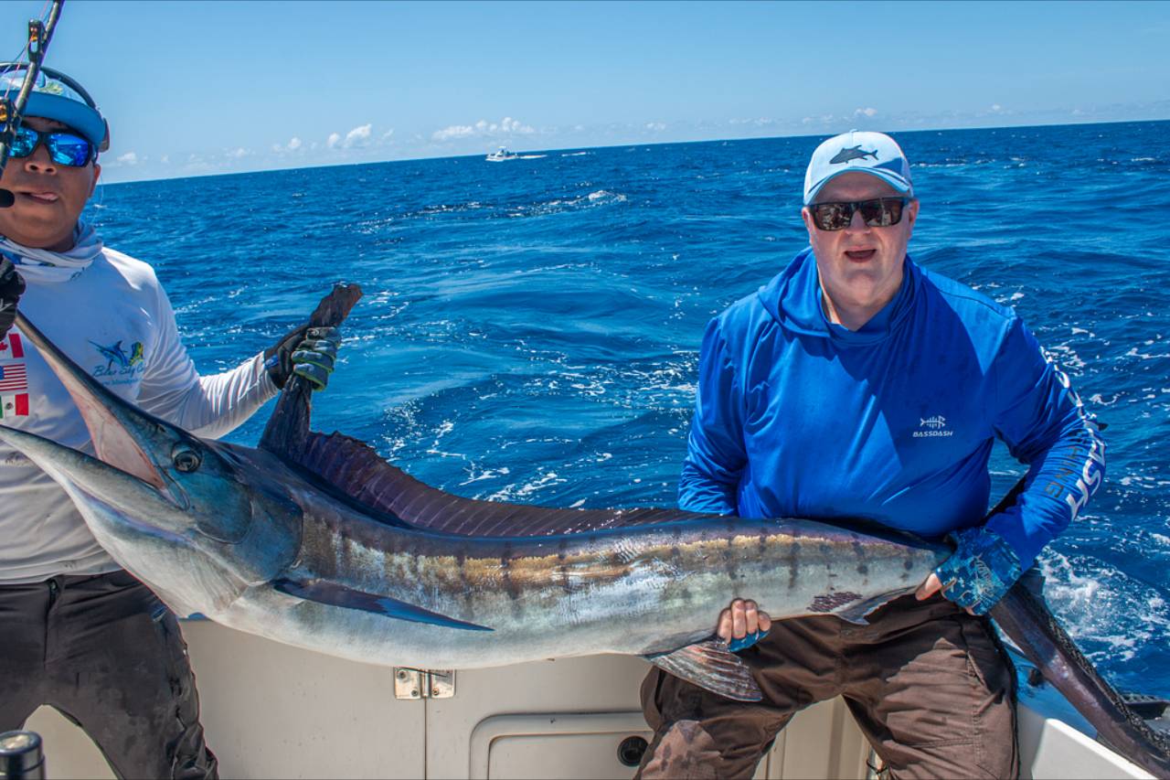 Cabo San Lucas Fishing Reports September 12 2026