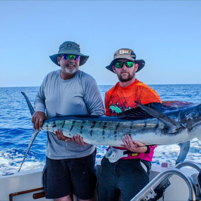 Cabo San Lucas Fishing Reports September 20 2026