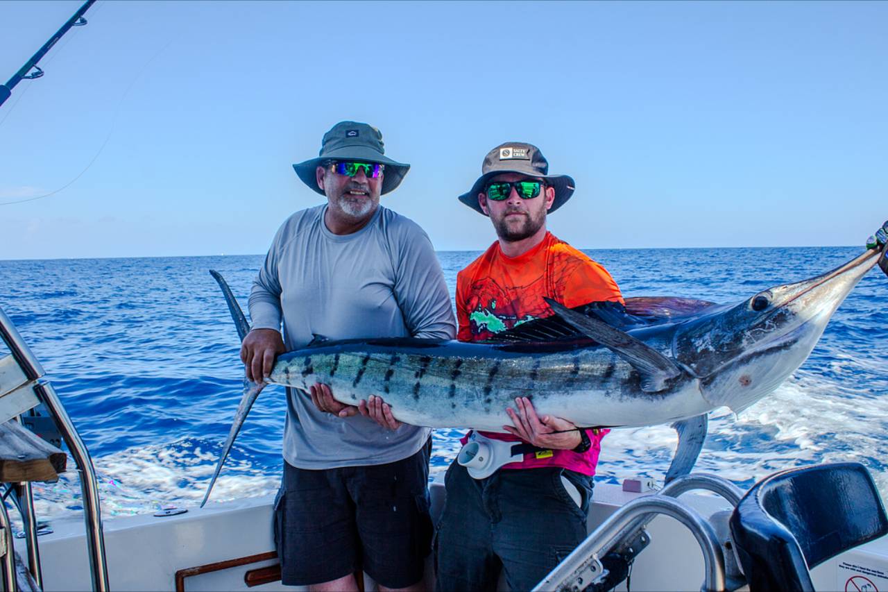 Cabo San Lucas Fishing Reports September 20 2026