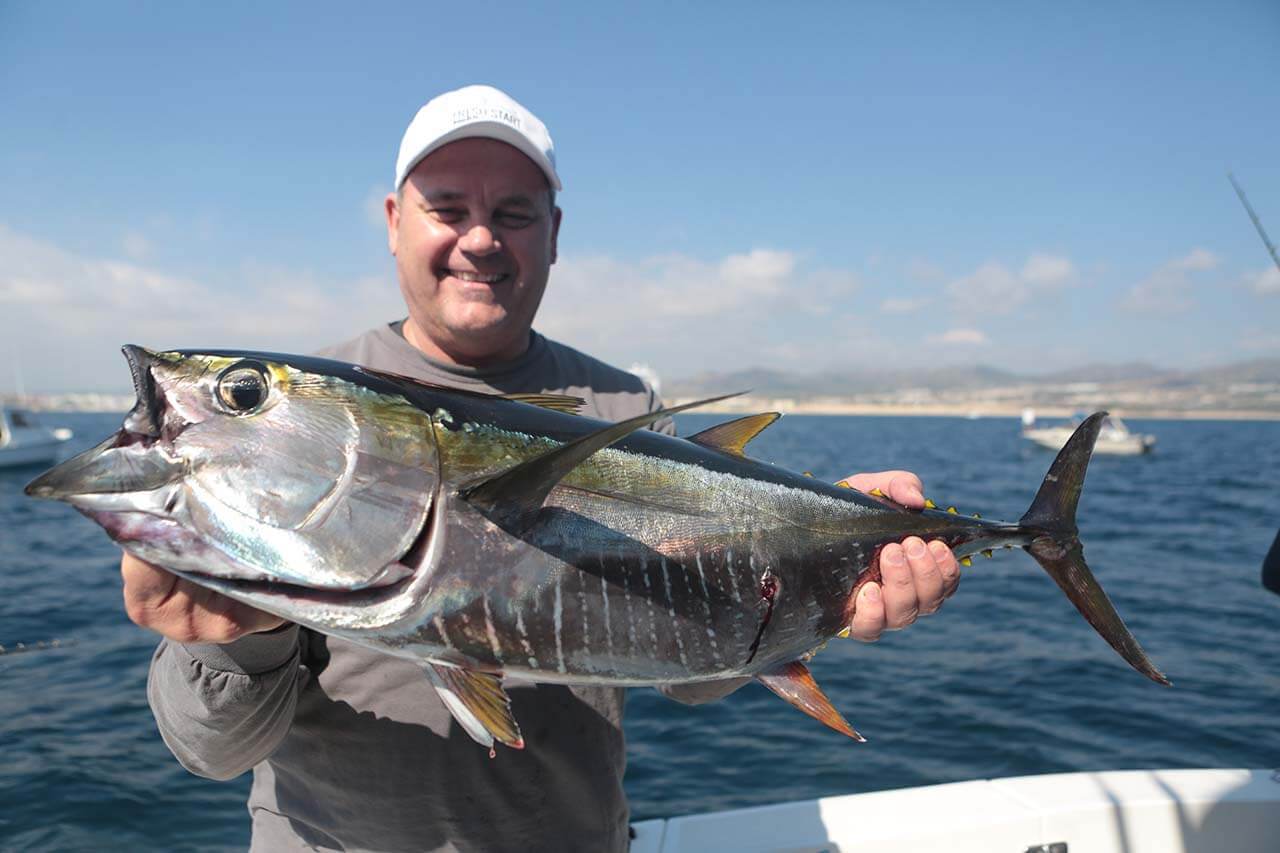 Cabo Tuna Fishing October