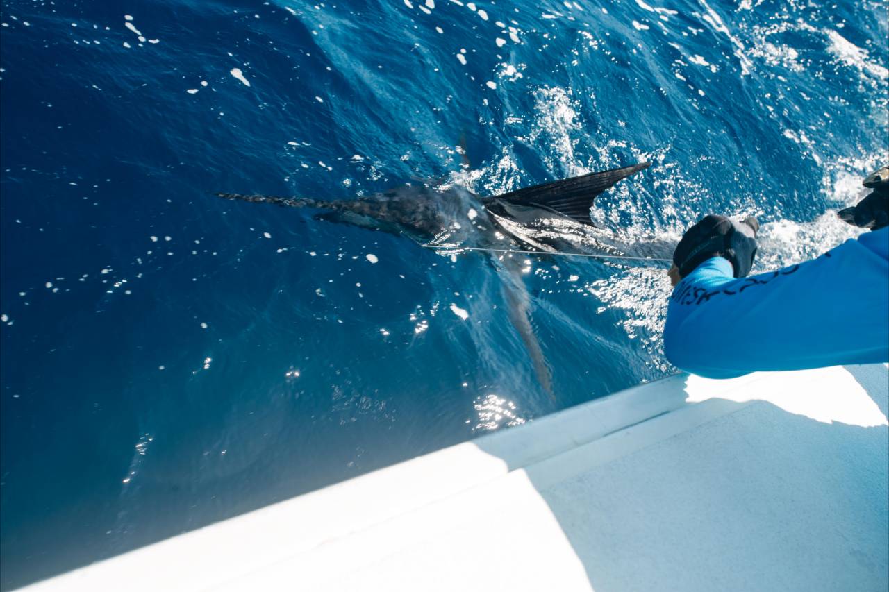 Offshore Fishing Charter Cabo